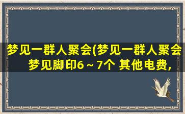 梦见一群人聚会(梦见一群人聚会 梦见脚印6～7个 其他电费,查看)